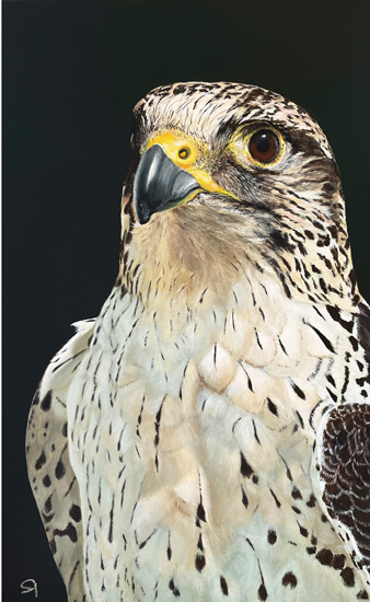 Peregrine falcon original bird painting, home decor hand painted wall art