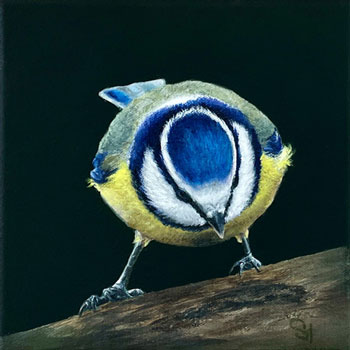 Blue tit original bird acrylic painting