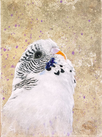 Wall art White Budgerigar - Original acrylic budgie bird painting