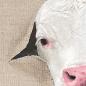 Preview: Cow original acrylic painting