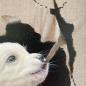 Preview: Golden Retriever Puppy original acrylic painting