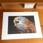 Preview: Red Kite bird of prey wall art print