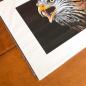 Preview: Red Kite bird of prey wall art print