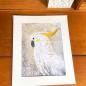 Preview: Yellow crested cockatoo wall art print