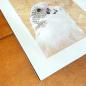 Preview: White Budgie wall art print