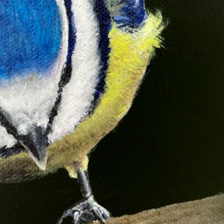 Blue tit original acrylic bird painting