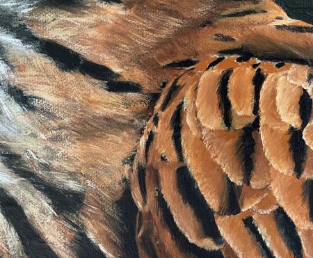 Red Kite bird or prey original acrylic painting