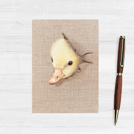 Cute little chick postcard