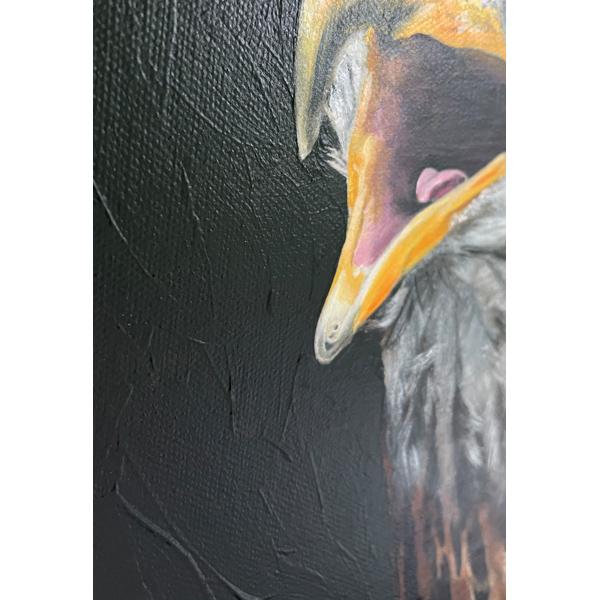 Red Kite bird or prey original acrylic painting